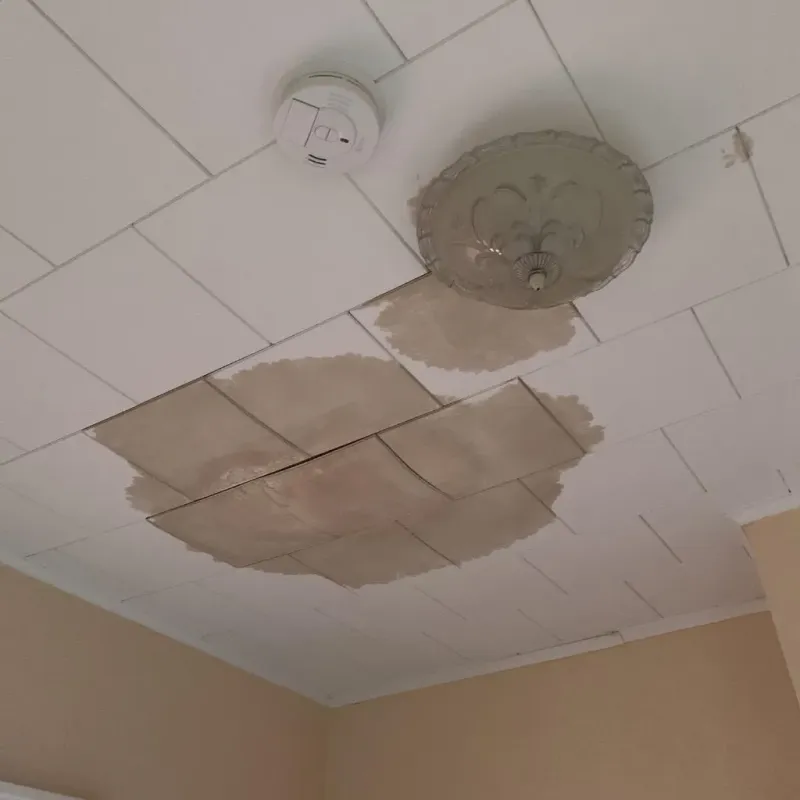 Ceiling Water Damage Repair in Wade Hampton, SC