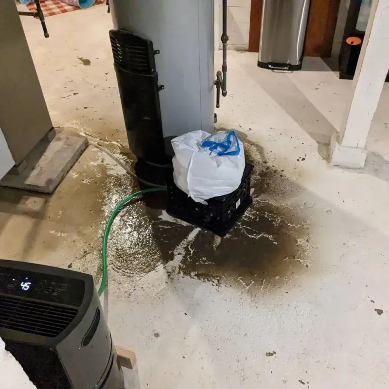 Sewage Backup Cleanup Service in Wade Hampton, SC